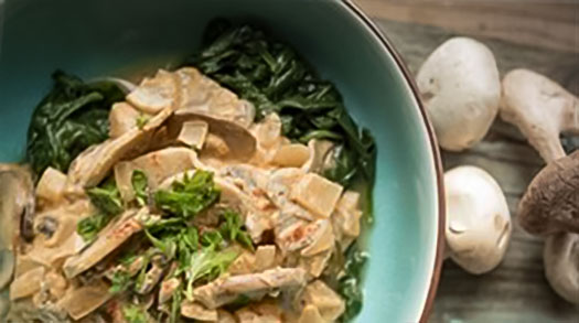 Paddestoel Stroganoff