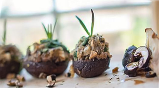 Spinazie En Gevulde Champignons