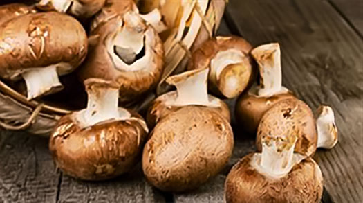 Spinazie Met Champignons En Prei